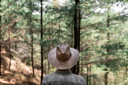 An unrecognizable man wearing a hat is contemplating the inmensity of the woods during a hike. Concept of mindfulness in the nature
