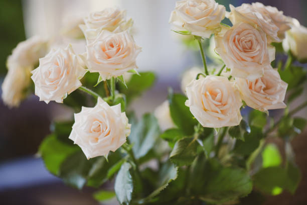 istock roses in glass vase 1409739079