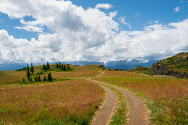 istock Summer path through mountains. Trekking mountain trail. Atmospheric rural minimalist alpine landscape with stony footpath among grasses in highlands. Pathway uphill. Rainy season. 1409739903