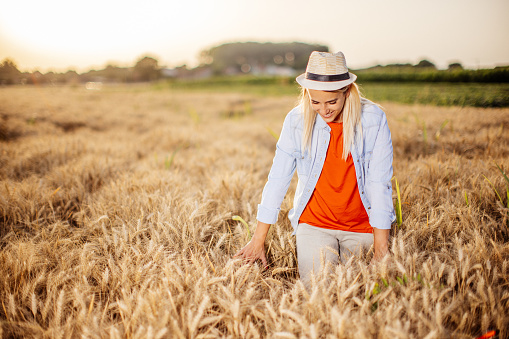New generation of young woman with organic wheat business, blonde girl on a  field wearing casual clothing and hat, exploring the integrity of organic wheat