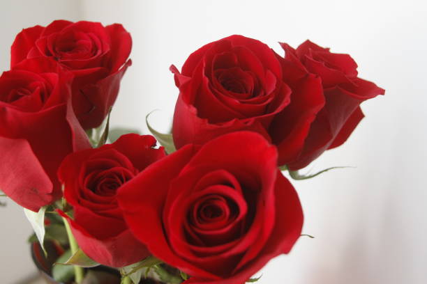 istock A Small Bouquet of Red Roses 1409741134