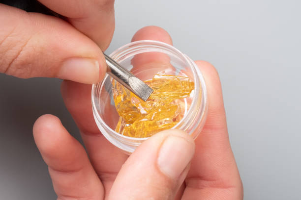 golden cannabis wax in female hands in a box, strong thc extract stock photo