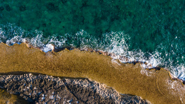 istock blue sea drone view, rocky place, sea 1409745536