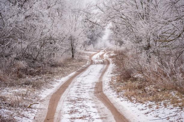 istock Road in the winter forest 1409746857