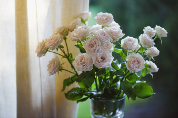 istock roses in glass vase 1409747697