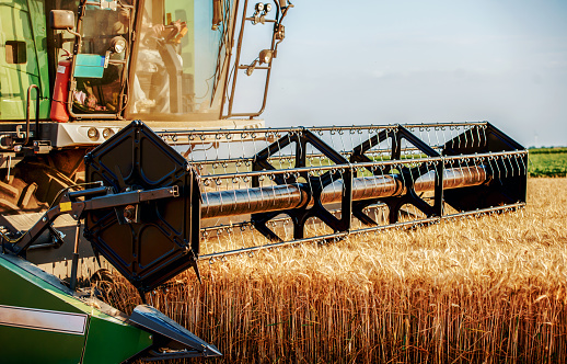 Harvesting campaign. Combine harvester working in the wheat field during the harvest. Agricultural concept