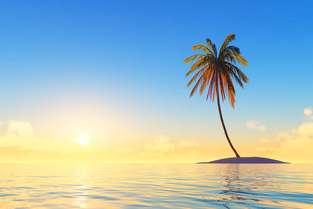 istock island with coconut palm 1409748963