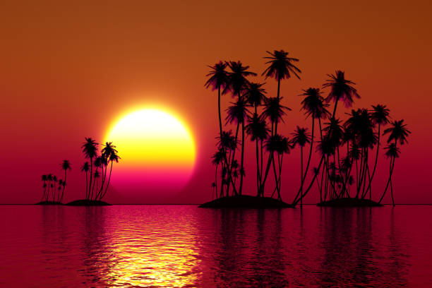 istock coconut islands at sunset 1409749136