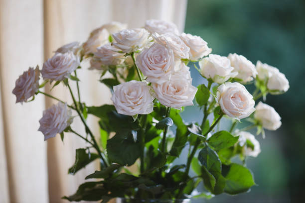 istock roses in glass vase 1409749229