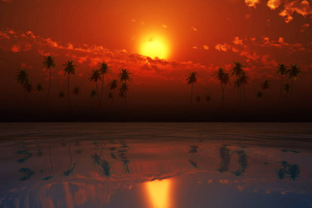 sunset at a tropical beach in the Caribbean