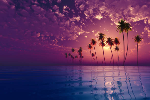 istock tropic island at sunset 1409749446