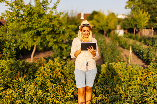 New generation of young woman with organic vegetable business, blonde girl on a raspberry field wearing casual clothing and hat, exploring the integrity of organic vegetables using tablet