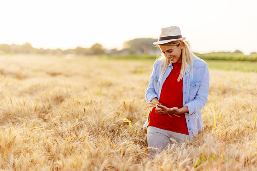 New generation of young woman with organic wheat business, blonde girl on a  field wearing casual clothing and hat, exploring the integrity of organic wheat