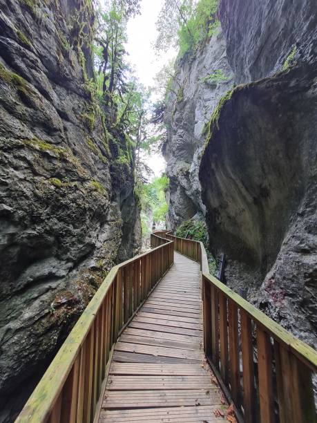 istock mysterious wooden road in the canyon 1409754582