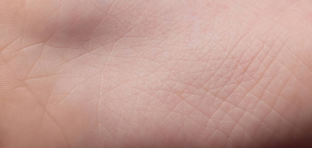 istock Skin on baby foot 1409754890