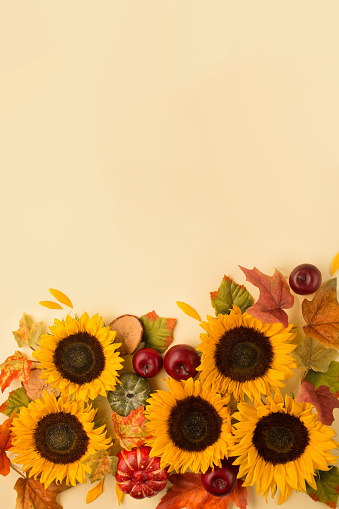 Autumn holiday composition. Sunflowers, dried leaves, pumpkins, apples and rowan berries on yellow background. Autumn, fall, thanksgiving day concept. Flat lay, top view, copy space