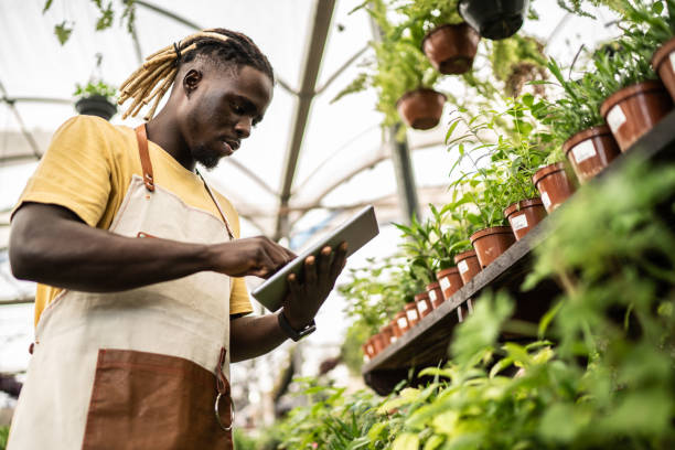 istock Young salesman working on a digital tablet at a garden center 1409761807