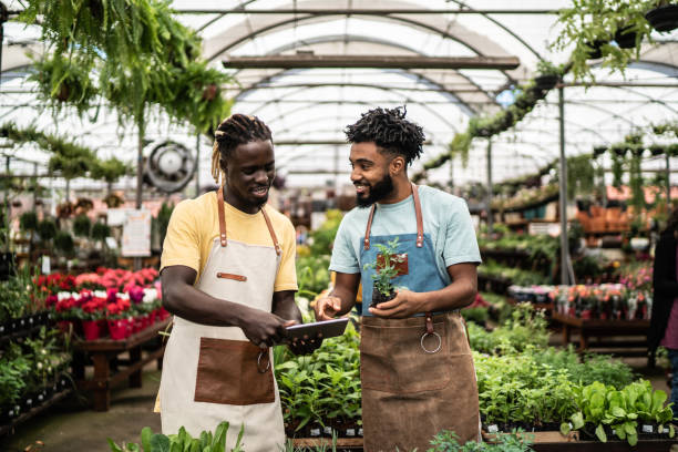 coworkers taking care of plants using digital tablet at a garden center - florist flower market flower store imagens e fotografias de stock