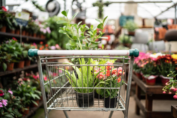 shopping cart with plants at a garden center - plant nursery imagens e fotografias de stock