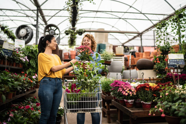 друзья покупают растения в садовом центре - plant nursery стоковые фото и изображения