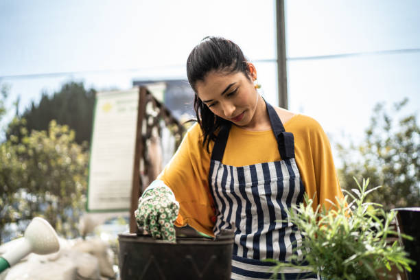 istock Florist planting at a garden center 1409763736