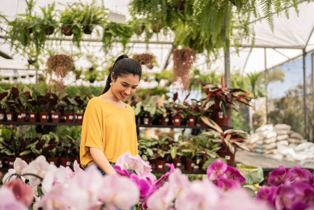 istock Customer buying plants at a garden center 1409764129