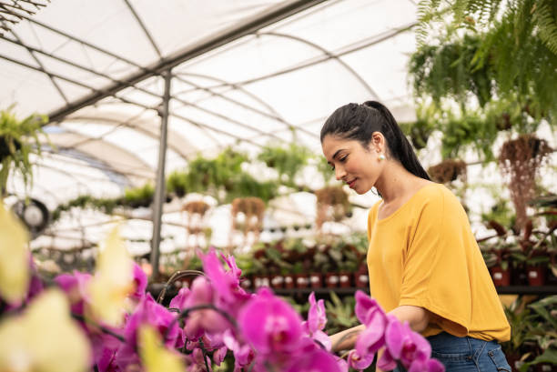istock Customer buying plants at a garden center 1409764142