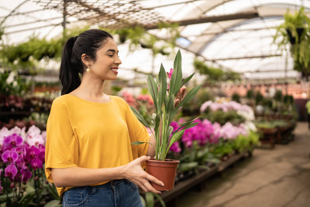 istock Customer buying plants at a garden center 1409764224