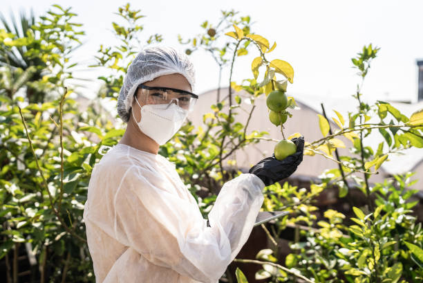 istock Portrait of a agronomist wearing protective workwear and using digital tablet 1409764388