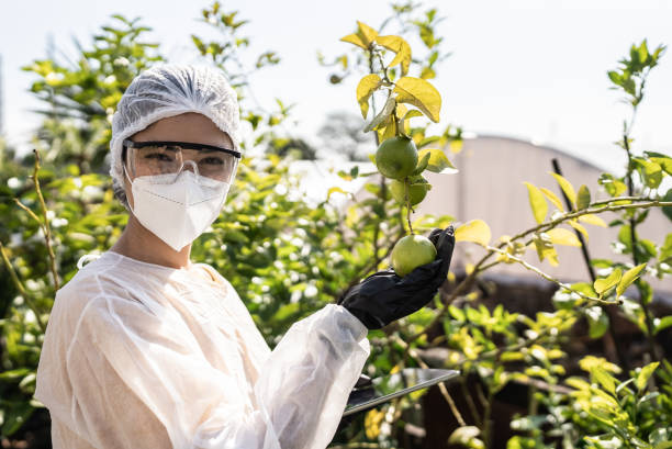 istock Portrait of a agronomist wearing protective workwear and using digital tablet 1409764402