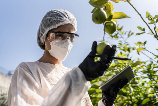 agronomo che analizza il limone e utilizza la tavoletta digitale - biotechnology research agriculture science foto e immagini stock