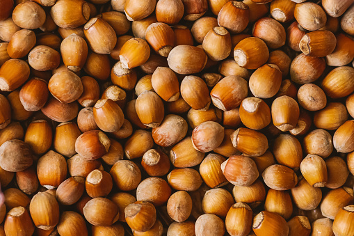 Hazelnuts background. Healthy food.
