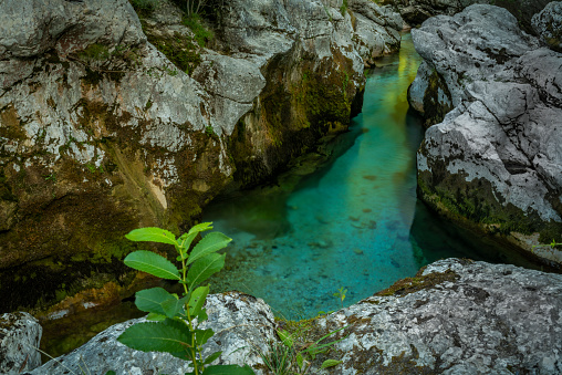 Light blue water in Soca river in summer hot evening in Slovenia mountains