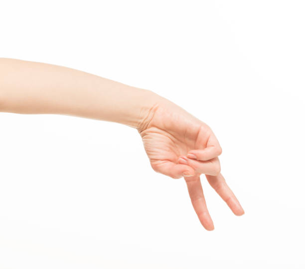 istock hands show gestures. female hands show gestures on a white background isolated. 1409767633