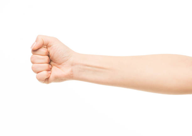 istock hands show gestures. female hands show gestures on a white background isolated. 1409767634