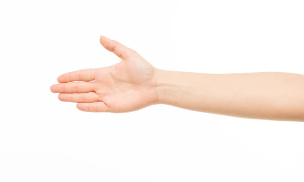 istock hands show gestures. female hands show gestures on a white background isolated. 1409767646