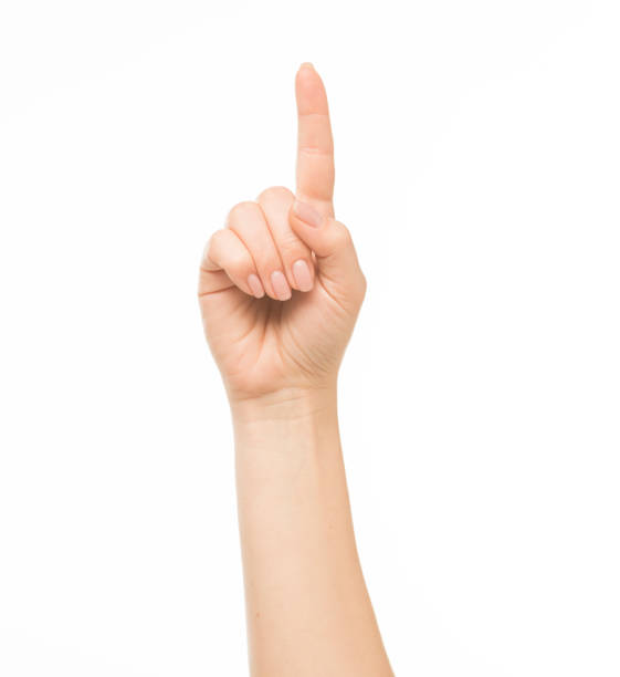 istock hands show gestures. female hands show gestures on a white background isolated. 1409767647