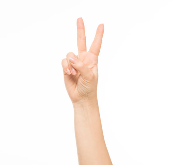 istock hands show gestures. female hands show gestures on a white background isolated. 1409767651