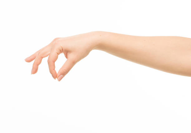 istock hands show gestures. female hands show gestures on a white background isolated. 1409767653