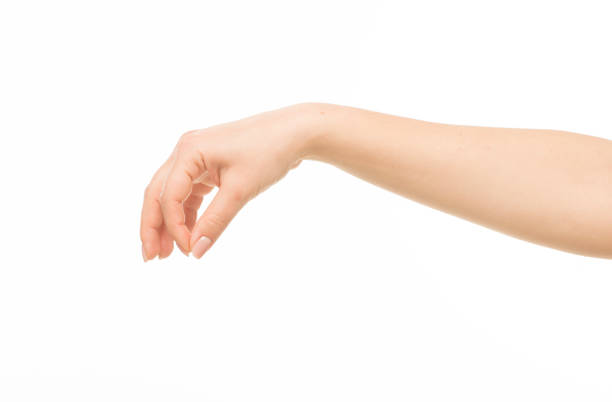 istock hands show gestures. female hands show gestures on a white background isolated. 1409767654