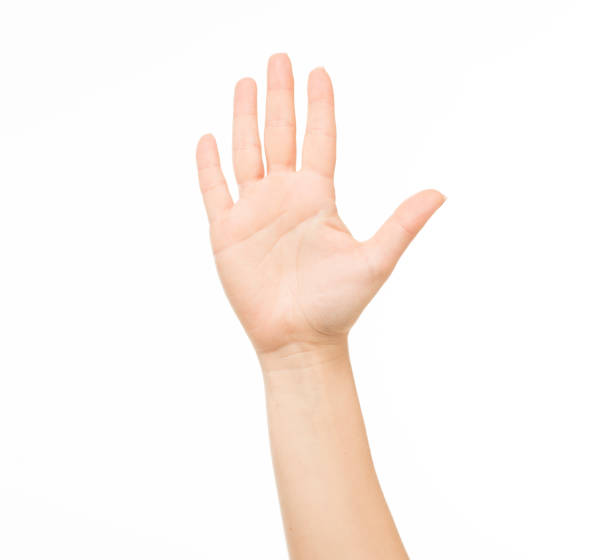 istock hands show gestures. female hands show gestures on a white background isolated. 1409767657
