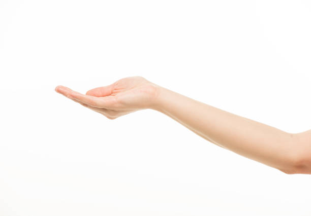 istock hands show gestures. female hands show gestures on a white background isolated. 1409767662