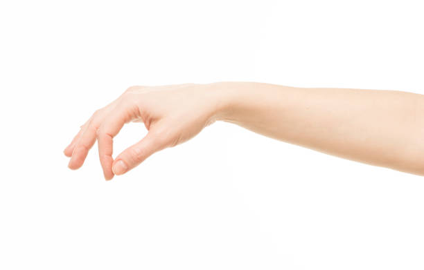 istock hands show gestures. female hands show gestures on a white background isolated. 1409767672