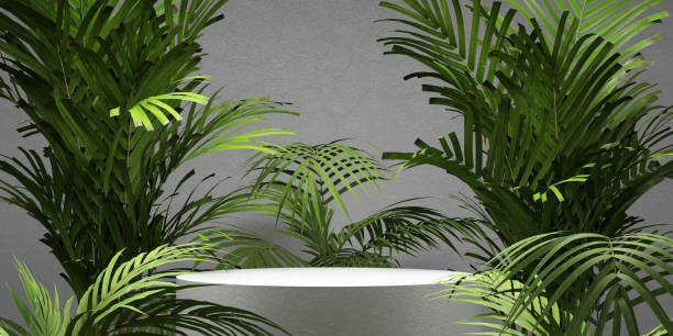 istock Palm tree leafs around white podium stage pedestal, closeup 1409767717