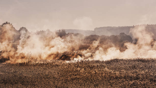 Smog in the field, spring burning of dry grass. Peatlands are steaming in the field. stock photo