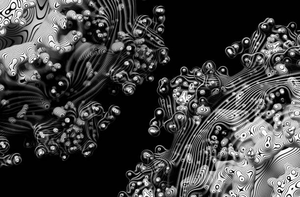 3d render of abstract art 3d background with parts of surreal alien fractal star flowers render 3d de arte abstracto monocromo en blanco y negro fondo 3d con partes de flores fractales alienígenas surrealistas basadas en pequeñas partículas de bolas en material plástico translúcido con rayas paralelas redondas en la superficie