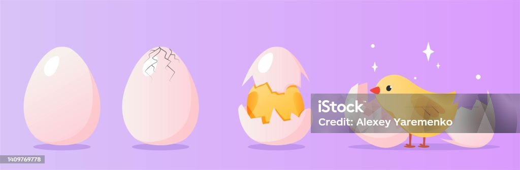 Hatching Process Icon Hatching Bird Process Set Stock Illustration - Download Image Now ...