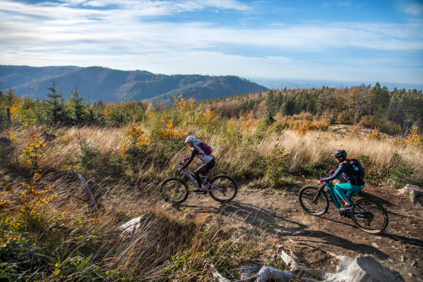istock Two young women on a e-bike ride 1409771143