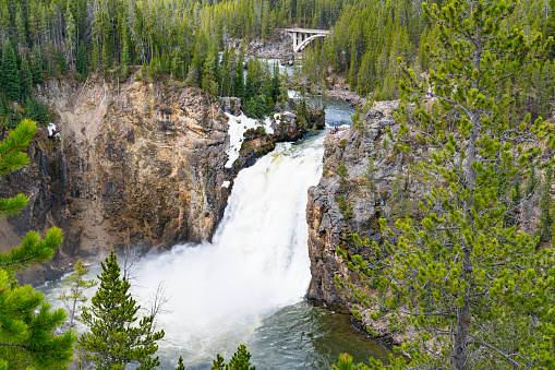 Upper Falls of the Yellowstone River in Yellowstone National Park, Wyoming
