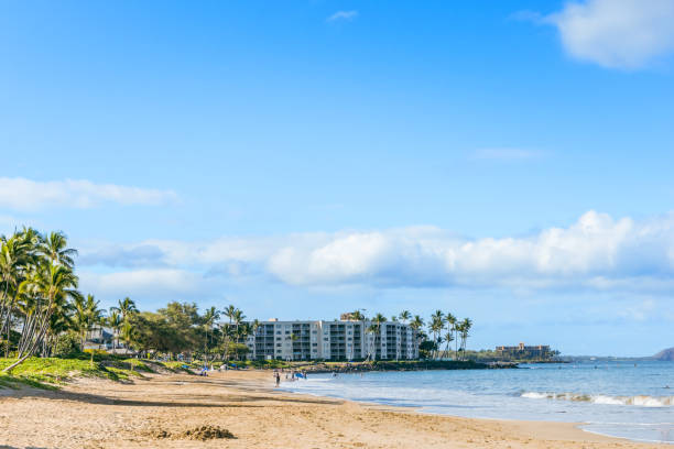 istock A beach in Maui Hawaii with sand, waves, palm trees and a blue sky 1409775246